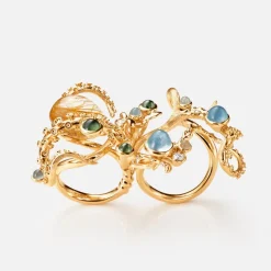 Blæksprutte ring