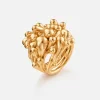 BoHo Cluster Ring