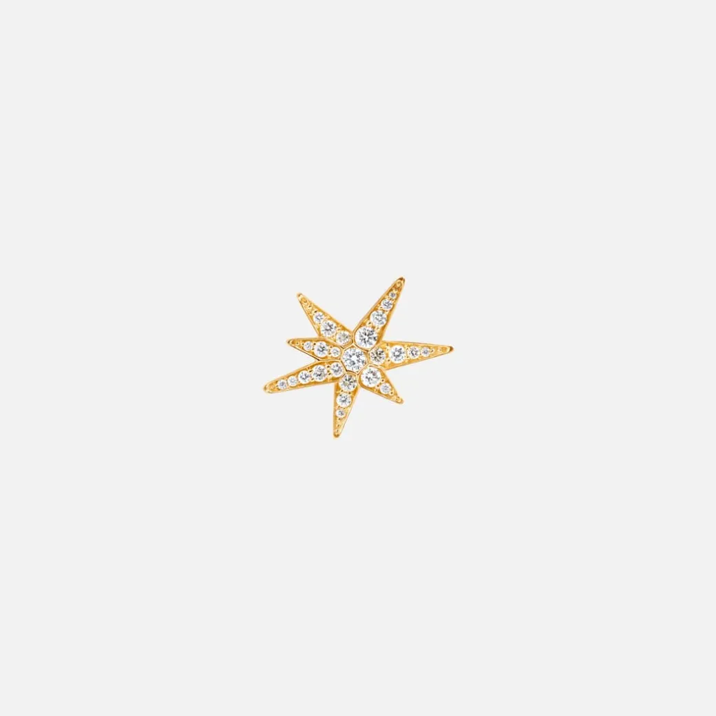 Funky Stars ørerstik small