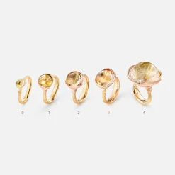 Lotus ring 3