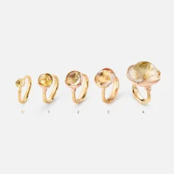Lotus ring 0