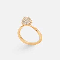 Lotus ring medium