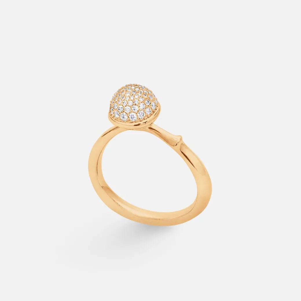 Lotus ring medium
