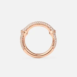 Nature ring IV pavé