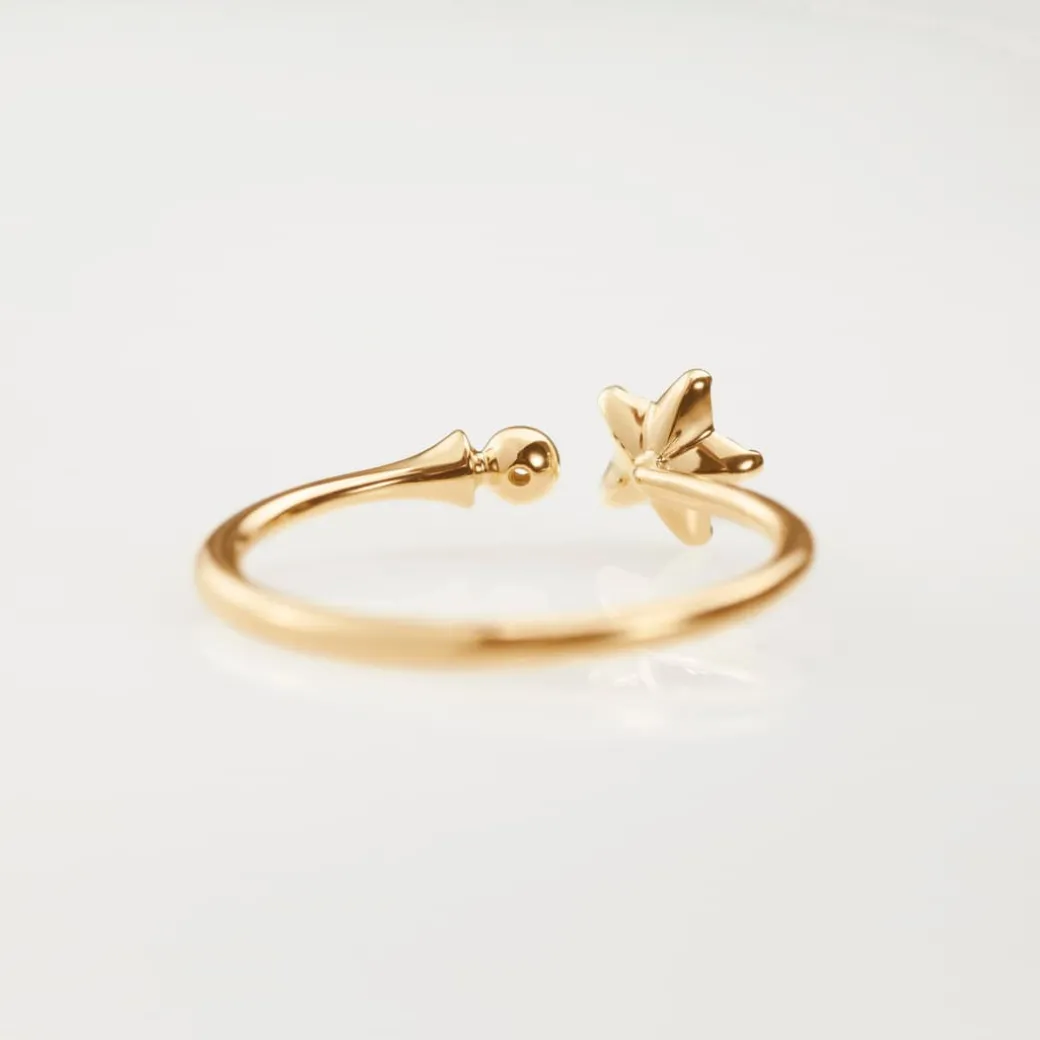 Shooting Stars ring lille