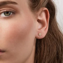 Shooting Stars stud earrings small