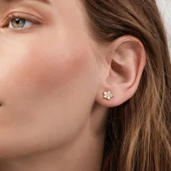 Shooting Stars stud earrings large