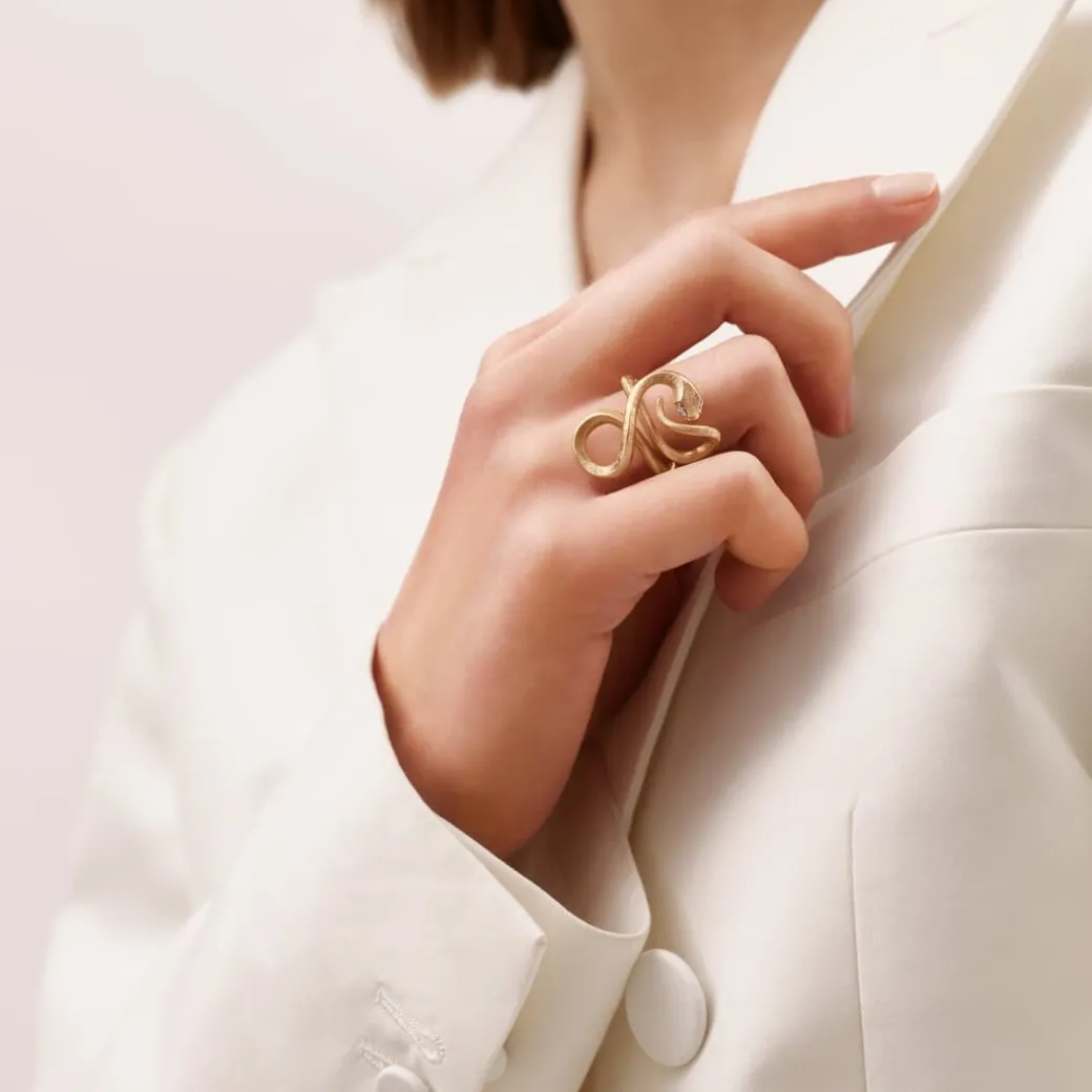 Snakes ring stor
