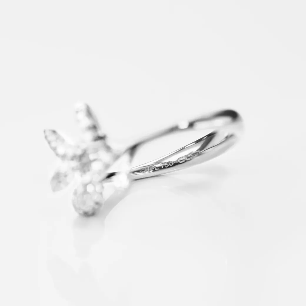 Winter Frost ring